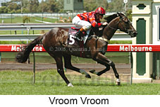 Vroom Vroom (14872 bytes)