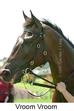 Vroom Vroom (14872 bytes)