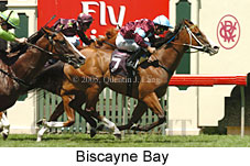 Biscayne Bay (14872 bytes)