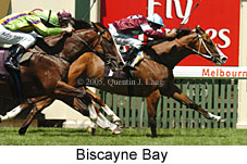 Biscayne Bay (14872 bytes)