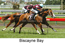 Biscayne Bay (14872 bytes)