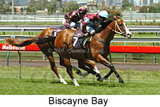 Biscayne Bay (14872 bytes)