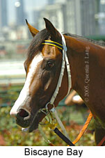 Biscayne Bay (14872 bytes)