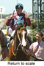 Return to scale (15361 bytes)