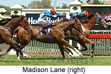 Madison Lane (14872 bytes)