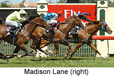 Madison Lane (14872 bytes)