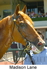 Madison Lane (14872 bytes)