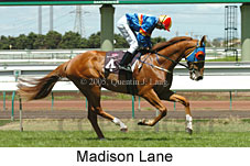 Madison Lane (14872 bytes)