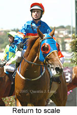 Return to scale (15361 bytes)