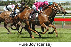 Pure Joy  (18229 bytes)