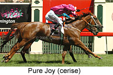 Pure Joy (14872 bytes)