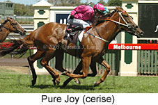 Pure Joy (14872 bytes)