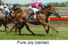 Pure Joy (14872 bytes)