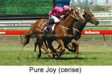 Pure Joy (14872 bytes)