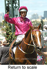 Return to scale (15361 bytes)