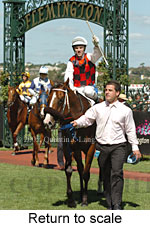 Return to scale (15361 bytes)