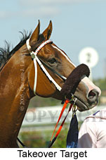 Takeover Target (14872 bytes)