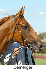 Demerger (14872 bytes)