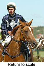 Return to scale (15361 bytes)