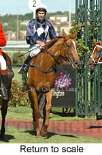 Return to scale (15361 bytes)