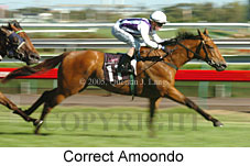 Correct Amoondo (14872 bytes)