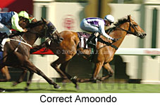 Correct Amoondo (14872 bytes)
