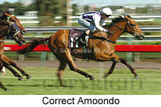 Correct Amoondo (14872 bytes)