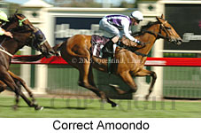 Correct Amoondo (14872 bytes)
