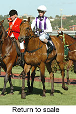 Return to scale (15361 bytes)