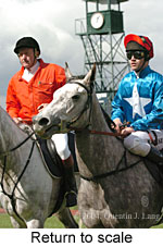 Return to scale (16096 bytes)