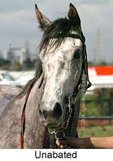 Unabated (12094 bytes)