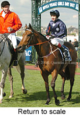 Return to scale (18401 bytes)