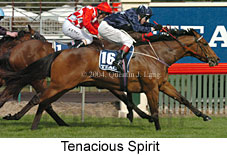 Tenacious Spirit (16974 bytes)