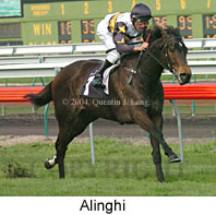 Alinghi (15814 bytes)