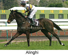 Alinghi (16906 bytes)