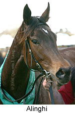 Alinghi (11080 bytes)