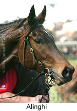 Alinghi (12429 bytes)