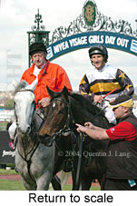 Return to scale (15831 bytes)