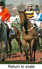 Return to scale (18525 bytes)