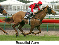 Beautiful Gem (17424 bytes)