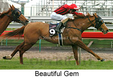 Beautiful Gem (16004 bytes)