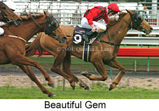 Beautiful Gem (17102 bytes)