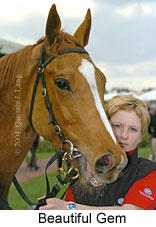 Beautiful Gem (13226 bytes)