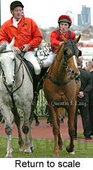 Return to scale (15124 bytes)