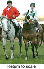 Return to scale (14474 bytes)