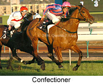 Confectioner (18809 bytes)