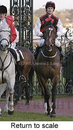 Return to scale (16228 bytes)