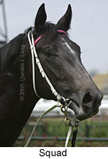Squad (9889 bytes)