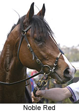 Noble Red (11147 bytes)