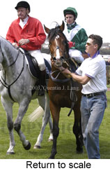 Return to scale (14869 bytes)